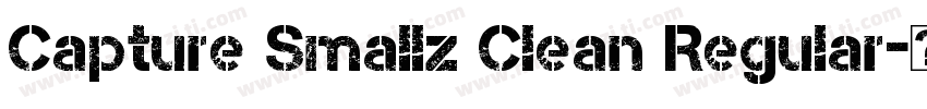 Capture Smallz Clean Regular字体转换